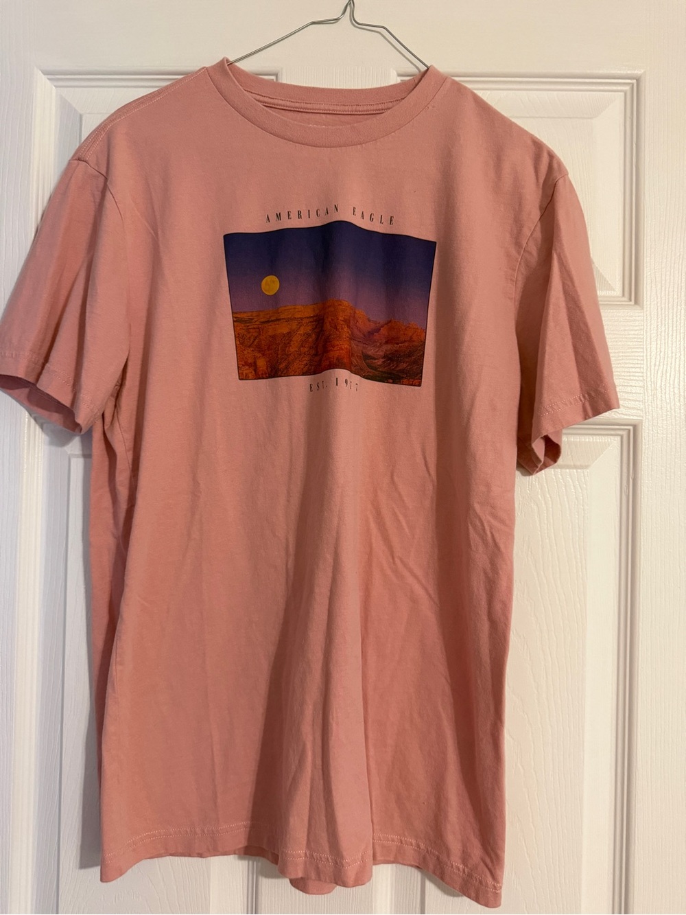 American Eagle Outfitters Men’s Dusty Pink Scenic Graphic Crew Tee